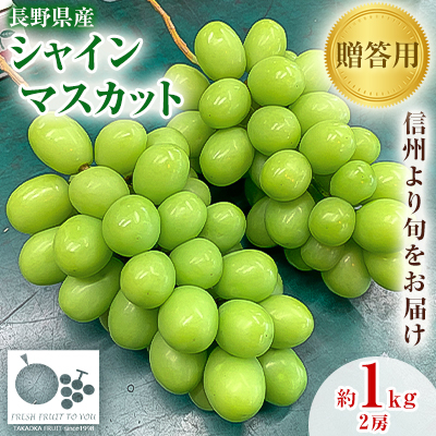 「産地より信州中野の旬をお届け」 シャインマスカット 贈答用 約1kg【配送不可地域:離島】【1311083】長野県中野市16000果物・フルーツマスカット・ぶどう