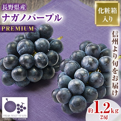 「産地より信州中野の旬をお届け」 ナガノパープル PREMIUM 約1.2kg【配送不可地域:離島】【1311111】長野県中野市22000果物・フルーツマスカット・ぶどう