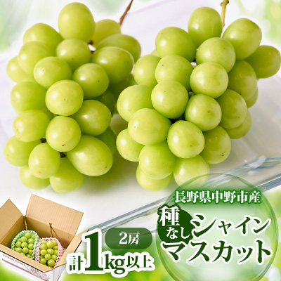 y2025Nz쌧 sY VC}XJbg2[(1.0kgȏ)yzsnFEkCEzy1331082z쌧s13000ʕEt[c}XJbgEԂǂ