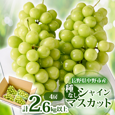 y2025Nz쌧 sY VC}XJbg4[(2.6kgȏ)yzsnFEkCEzy1331118z쌧s26000ʕEt[c}XJbgEԂǂ