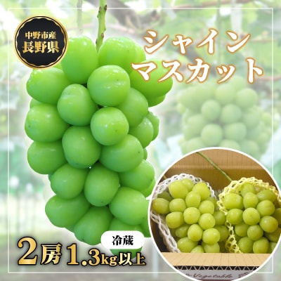 長野県中野市産 冬でも食べれる シャインマスカット2房(1.3kg以上)【配送不可地域:離島】【1331174】長野県中野市18000果物・フルーツマスカット・ぶどう