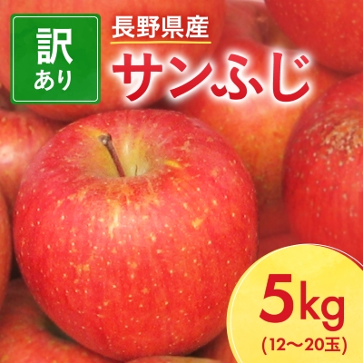 長野県産 サンふじ りんご 家庭用 訳あり 5kg(12〜20玉)【1360194】長野県中野市10000果物・フルーツりんご・梨