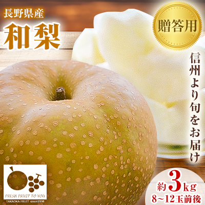 「産地より信州中野の旬をお届け♪」 高丘フルーツの長野県産「和梨」贈答用 約3Kg 8-12玉前後【配送不可地域:離島】【1407564】長野県中野市17000果物・フルーツりんご・梨