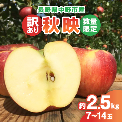 【2025年発送】【数量限定!】秋映 訳あり  約2.5kg 信州りんご 中野市産 7-14玉【配送不可地域:離島・北海道・沖縄】【1412953】長野県中野市9000果物・フルーツりんご・梨