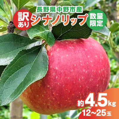 【2025年発送】【数量限定!】シナノリップ 訳あり 約4.5kg(12-25玉) 中野市産【配送不可地域:離島・北海道・沖縄・東北・中国・四国・九州】【1413217】長野県中野市10000果物・フルーツりんご