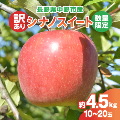 【2025年発送】【数量限定!】シナノスイート訳あり約4.5kg10-20玉【配送不可地域:離島・北海道・沖縄】【1414231】長野県中野市10000果物・フルーツりんご・梨