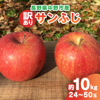 【2024年産受付開始!】サンふじ 訳あり 約10kg 24-50玉 中野市産【配送不可地域:離島】【1415429】長野県中野市19000果物・フルーツりんご・梨