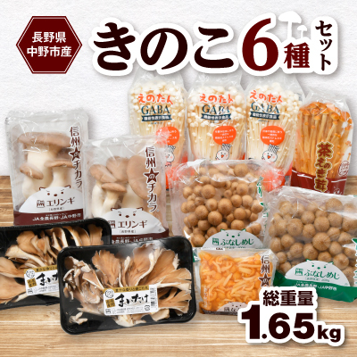 JA中野市産地直送!6種11パック入りきのこセット【中野市特産きのこセットできのこ食を習慣に】【配送不可地域:離島】【1487473】長野県中野市8000野菜・きのこきのこ
