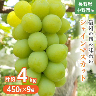 長野県中野市産ぶどう・シャインマスカット450g 9袋入り1箱【配送不可地域:離島】【1494268】長野県中野市30000果物・フルーツマスカット・ぶどう