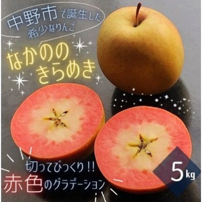 【希少赤い果肉!数量限定】なかののきらめき家庭用5kg(16玉〜20玉)2024年11月末頃より発送【1494785】長野県中野市11000果物・フルーツりんご・梨
