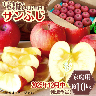 ◆2025年12月中発送◆りんご サンふじ家庭用 約10kg(24〜42玉)【1494948】長野県中野市14000果物・フルーツりんご・梨