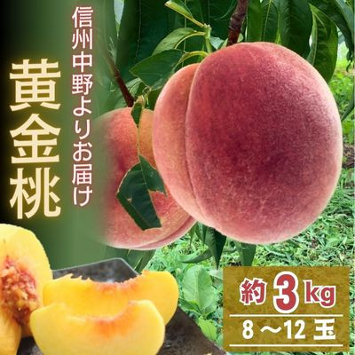 黄金桃 約3kg(8〜12玉)【配送不可地域:離島】【1495414】長野県中野市14000果物・フルーツもも・すもも