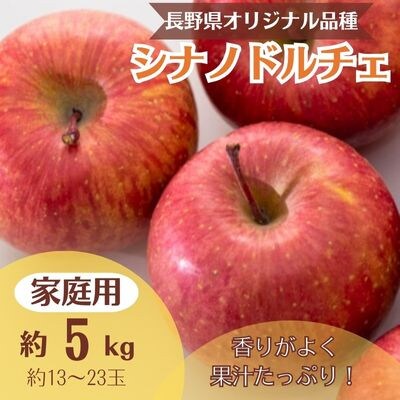 りんご シナノドルチェ 約5kg 家庭用(13玉〜23玉)【1495967】長野県中野市11000果物・フルーツりんご・梨