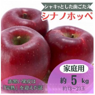 りんご シナノホッペ 約5kg 家庭用 (13玉〜23玉)【1495969】長野県中野市11000果物・フルーツりんご・梨