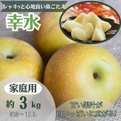 梨 幸水 約3kg 家庭用(8〜12玉)【1495970】長野県中野市10000果物・フルーツりんご・梨