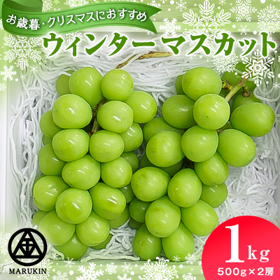 ウィンターマスカット 合計1kg(500g×2房)【配送不可地域:離島】【1496442】長野県中野市14000果物・フルーツマスカット・ぶどう