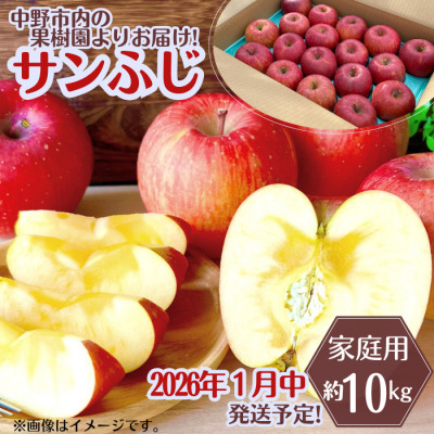 ◆2026年1月中発送◆りんご サンふじ家庭用 約10kg(24〜42玉)【1515113】長野県中野市14000果物・フルーツりんご・梨