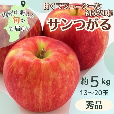 サンつがる 秀品 約5kg  13〜20玉【配送不可地域:離島・北海道・沖縄】【1516976】長野県中野市12000果物・フルーツりんご・梨