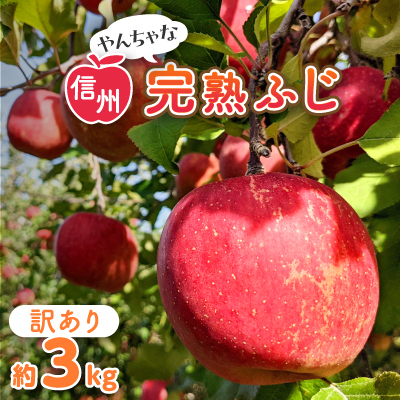 〈信州中野まつじるし農園〉やんちゃな訳あり完熟ふじ 約3kg【1521678】長野県中野市7000果物・フルーツりんご・梨