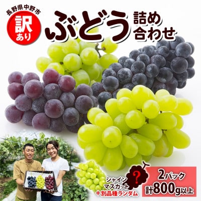 y󂠂zԂǂ [ 2ȏ Hה2pbN(v800gȏ) MBۍK_ 쌧 syzsnFEzy1525235z쌧s12000ʕEt[c}XJbgEԂǂ