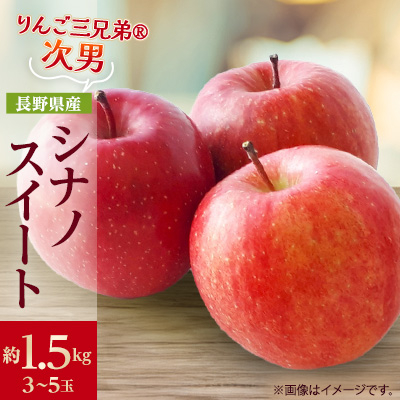 【2025年発送】フルーツ王国 長野県産 りんご シナノスイート 約1.5kg(3〜5玉程度)【1541937】長野県中野市12000果物・フルーツりんご・梨