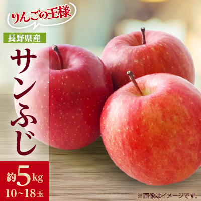 りんごの王様 長野県産 りんご サンふじ 約5kg(10〜18玉程度)【1541946】長野県中野市32000果物・フルーツりんご・梨