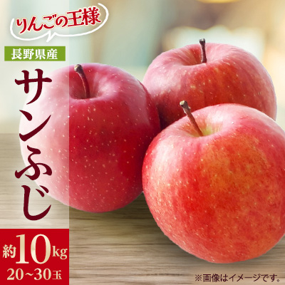りんごの王様 長野県産 りんご サンふじ 約10kg(20〜30玉程度)【1541947】長野県中野市67000果物・フルーツりんご・梨