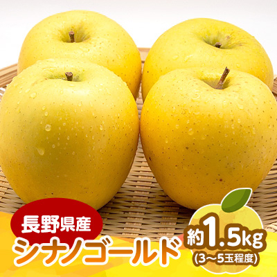 【2025年発送】 長野県産 りんご シナノゴールド 約1.5kg(3〜5玉程度)【1541949】長野県中野市12000果物・フルーツりんご・梨