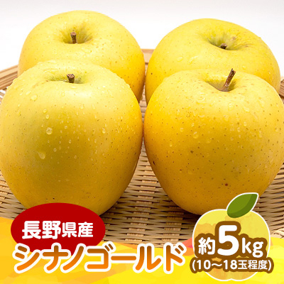 【2025年発送】 長野県産 りんご シナノゴールド 約5kg(10〜18玉程度)【1541953】長野県中野市29000果物・フルーツりんご・梨
