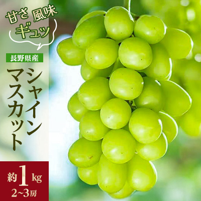 ÂƕMbƋl܂@Yn@VC}XJbg@1kg(2`3[)yzsnFzy1541959z쌧s27000ʕEt[c}XJbgEԂǂ
