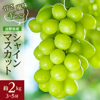 甘さと風味がギュッと詰まった 産地直送 シャインマスカット 約2kg(3〜5房)【配送不可地域:離島】【1541961】長野県中野市41000果物・フルーツマスカット・ぶどう