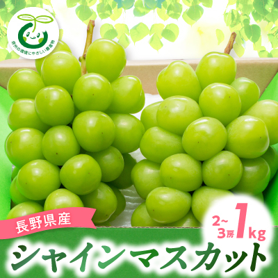 【2025年先行受付】シャインマスカット 1kg(2〜3房)【配送不可地域:離島】【1543045】長野県中野市12000果物・フルーツマスカット・ぶどう