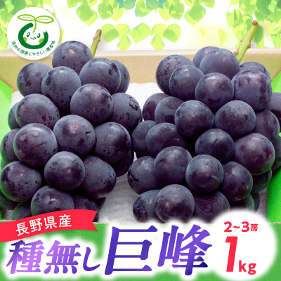 y2025NstzMB햳 1kg(2`3[)yzsnFzy1543061z쌧s11000ʕEt[c}XJbgEԂǂ