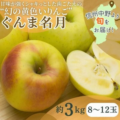 ぐんま名月 3kg(8〜12玉)【配送不可地域:離島】【1552041】長野県中野市10000果物・フルーツりんご・梨