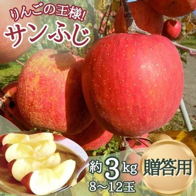 サンふじ 贈答用 約3kg(8〜12玉)【1558393】長野県中野市10000果物・フルーツりんご・梨