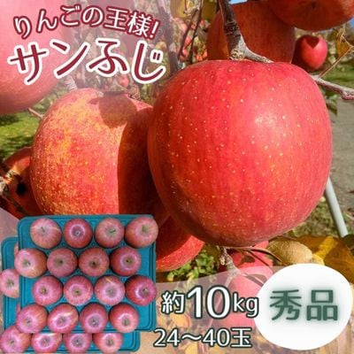 サンふじ 秀品 10kg(24〜40玉)【1560896】長野県中野市17000果物・フルーツりんご・梨