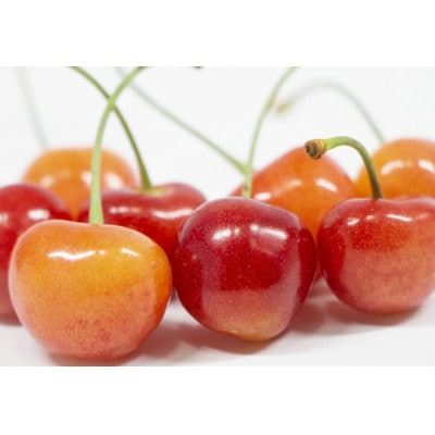 y2026Nzt[c@MBY@ځ@@1kg(200g×5pbN)yzsnFzy1570385z쌧s40000ʕEt[c
