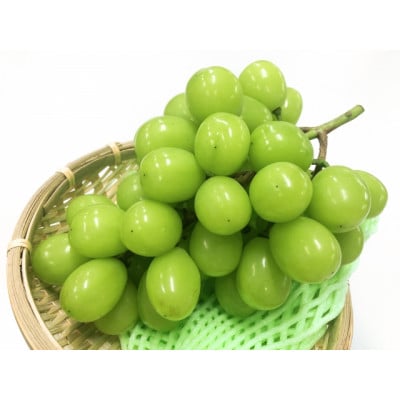 y2025Nstzt[cMBYn@VC}XJbg@2kg(2`5[)yzsnFzy1573057z쌧s33000ʕEt[c}XJbgEԂǂ