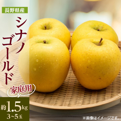 【家庭用】【2025年発送】 長野県産 りんご シナノゴールド 約1.5kg(3〜5玉程度)【1574743】長野県中野市9000果物・フルーツりんご・梨