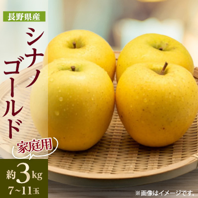 【家庭用】【2025年発送】 長野県産 りんご シナノゴールド 約3kg(7〜11玉程度)【1574746】長野県中野市14000果物・フルーツりんご・梨
