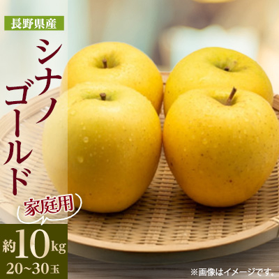 【家庭用】【2025年発送】 長野県産 りんご シナノゴールド 約10kg(20〜30玉程度)【1574750】長野県中野市36000果物・フルーツりんご・梨
