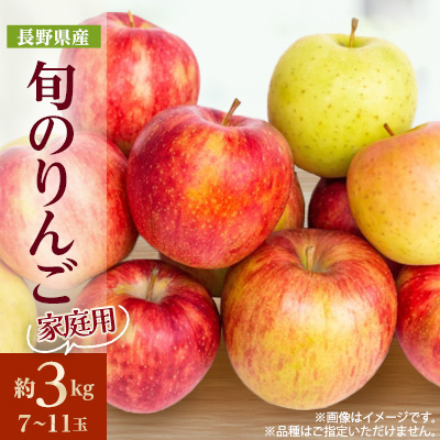 【2025年発送】家庭用 長野県北信州のりんご 約3kg(7〜11玉)おまかせ1品種【1575376】長野県中野市13000果物・フルーツりんご・梨