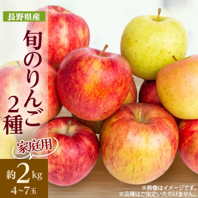 【2025年発送】家庭用 長野県北信州のりんご 約2kg(4〜7玉)おまかせ2品種【1575394】長野県中野市10000果物・フルーツりんご・梨
