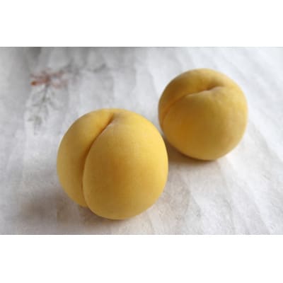 【2026年発送】フルーツ王国 長野県信州直送 黄金桃 約1.5kg(3〜7玉)【配送不可地域:離島】【1576205】長野県中野市13000果物・フルーツもも・すもも