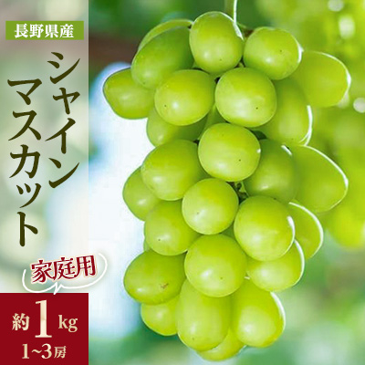 家庭用【2025年先行受付】フルーツ王国信州産地直送 シャインマスカット 約1kg(1〜3房)【配送不可地域:離島】【1576723】長野県中野市18000果物・フルーツマスカット・ぶどう