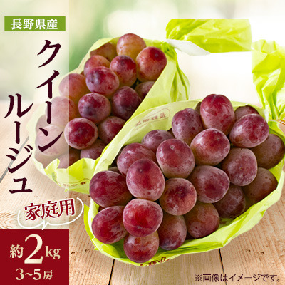 ƒpy2025Nstz@MBYNC[[W(ԂԂǂ)@2kg(3`5[)yzsnFzy1576737z쌧s54000ʕEt[c}XJbgEԂǂ