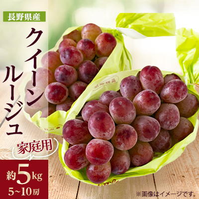 ƒpy2025Nstz@MBYNC[[W(ԂԂǂ)@5kg(5`10[)yzsnFzy1576739z쌧s126000ʕEt[c}XJbgEԂǂ
