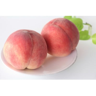 【2026年発送】長野県 北信州の桃 約2kg(4〜8玉)品種おまかせ 贈答にもおすすめ【配送不可地域:離島】【1577365】長野県中野市16000果物・フルーツもも・すもも