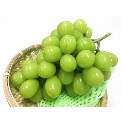 甘さと風味がギュッと詰まった 産地直送 シャインマスカット 1房(約700〜900g)【配送不可地域:離島】【1577375】長野県中野市13000果物・フルーツマスカット・ぶどう