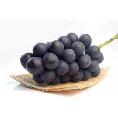 y2026NzMBY@Yn@嗱Ԃǂ̑\i@Ȃ@1[(400`800g)yzsnFzy1577391z쌧s12000ʕEt[c}XJbgEԂǂ